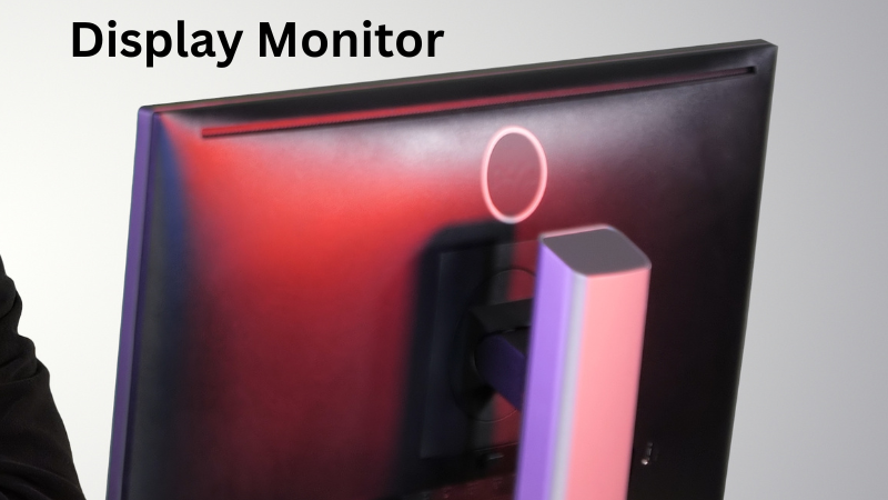 Display Monitor